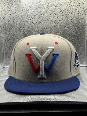 SnapBack young whales wool YW giants colorway
